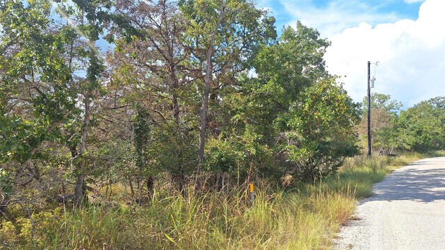 406 Choctaw Crst, Somerville, TX 77879 - photo 2