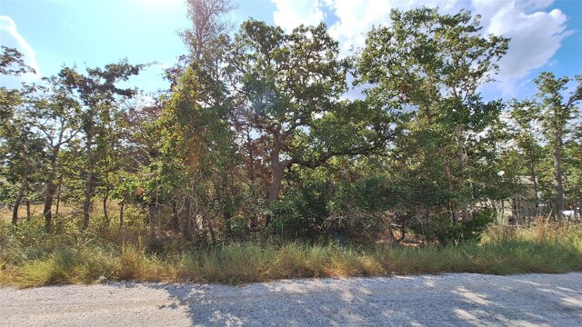406 Choctaw Crst, Somerville, TX 77879 - photo 1