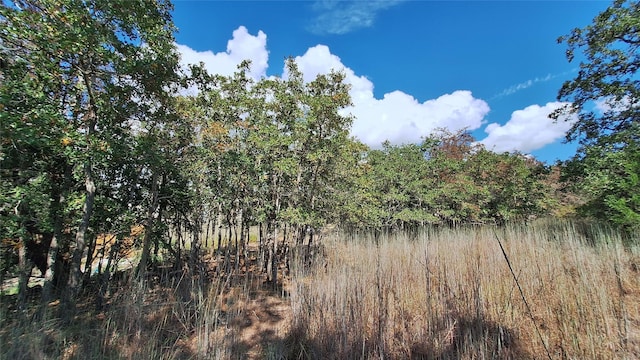 406 Choctaw Crst, Somerville, TX 77879 - photo 17