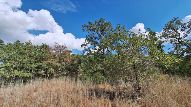 406 Choctaw Crst, Somerville, TX 77879 - photo 16