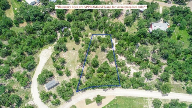 406 Choctaw Crst, Somerville, TX 77879 - photo 15