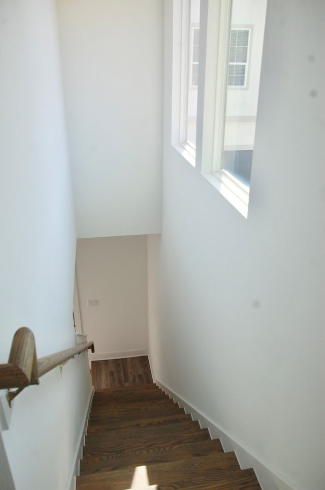 staircase with hardwood / wood-style floors