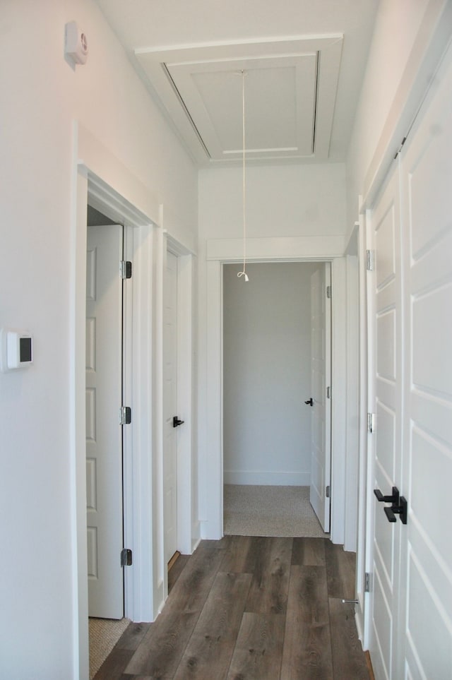 corridor featuring dark hardwood / wood-style flooring