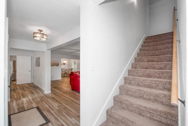 stairs with hardwood / wood-style flooring