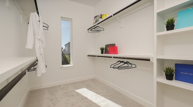 walk in closet with light colored carpet