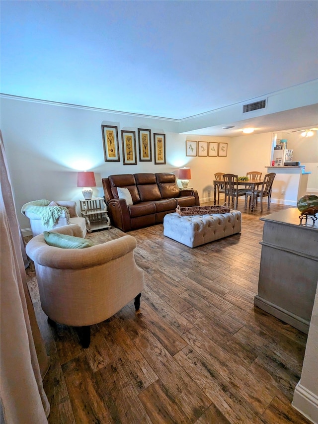 living room featuring dark hardwood / wood-style floors