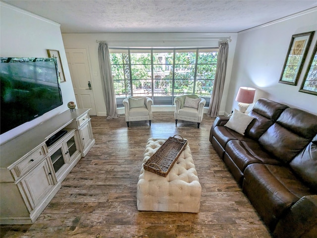 living room featuring a textured ceiling, crown molding, and dark hardwood / wood-style flooring