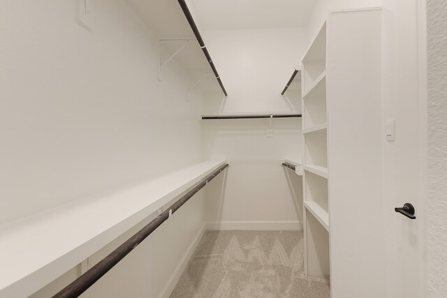 spacious closet featuring light colored carpet