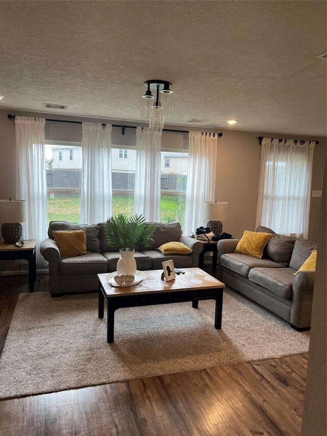 living room with wood-type flooring, a textured ceiling, and plenty of natural light