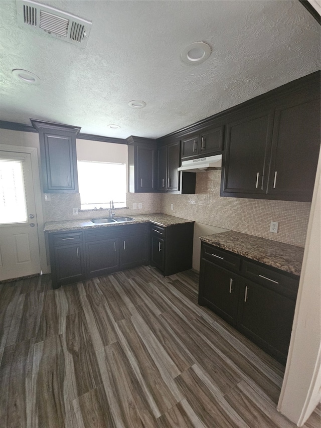 kitchen with light stone counters, dark hardwood / wood-style floors, a healthy amount of sunlight, and sink