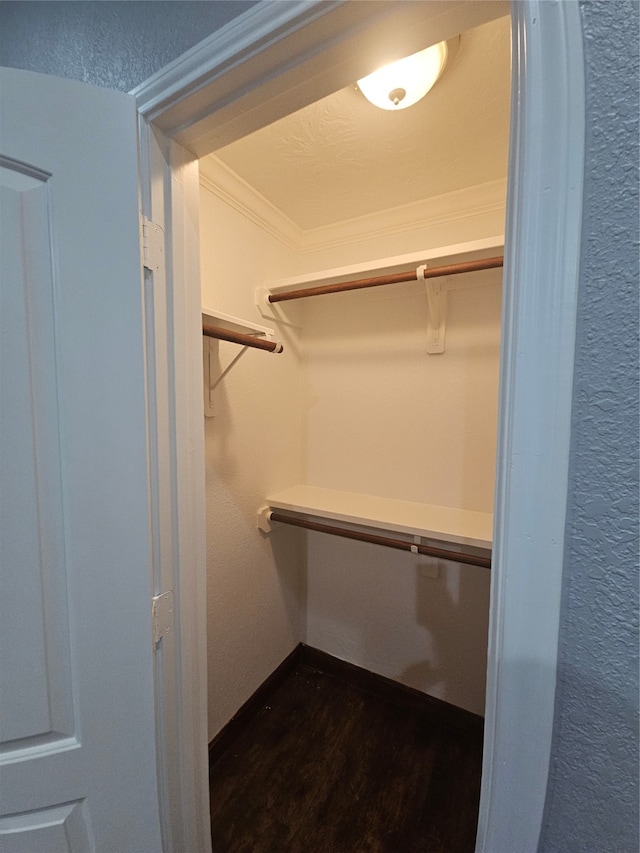 spacious closet with dark hardwood / wood-style flooring