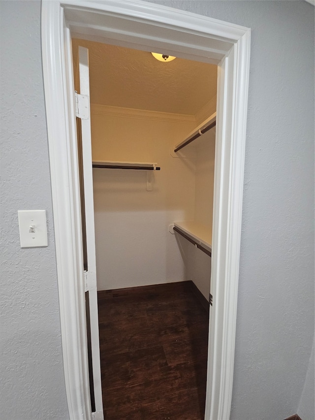 walk in closet featuring hardwood / wood-style flooring