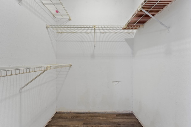 spacious closet with dark wood-type flooring