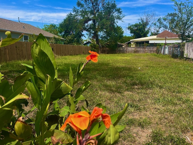 1811 Ryon St, Houston, TX 77009 - photo 4