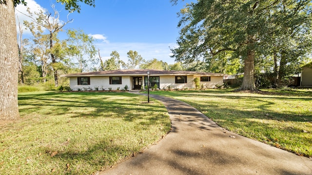 ranch-style house with a front yard