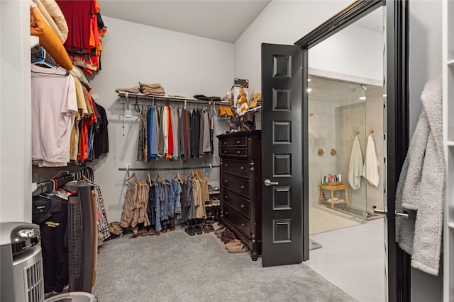 walk in closet with carpet