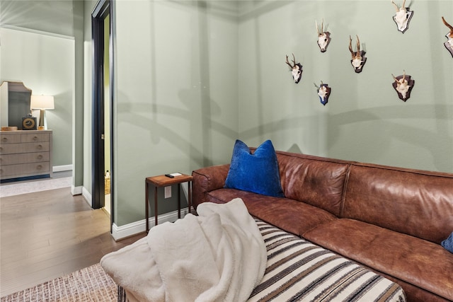 living room with hardwood / wood-style flooring