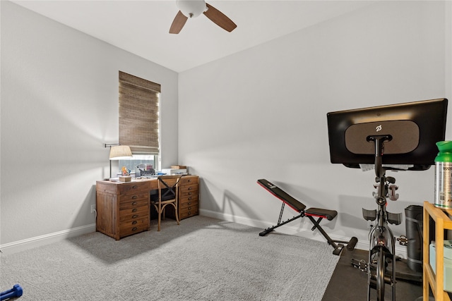 home office with ceiling fan and carpet flooring