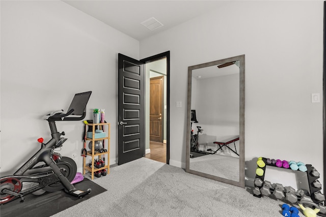 exercise room featuring carpet floors