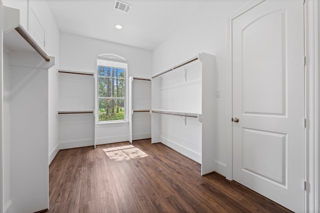 walk in closet featuring dark hardwood / wood-style flooring