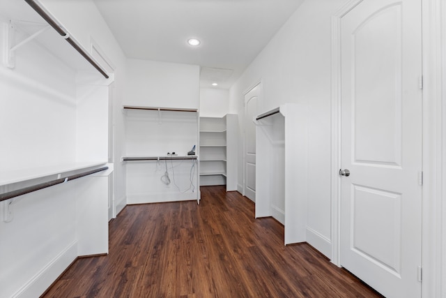 spacious closet with dark hardwood / wood-style flooring