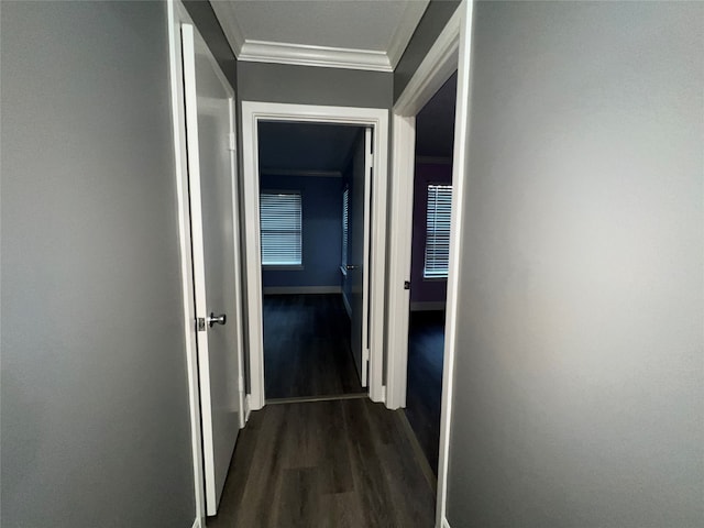 corridor featuring ornamental molding and dark wood-type flooring