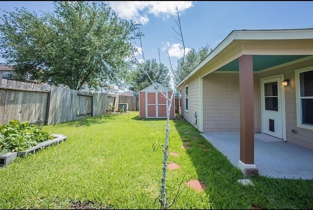 view of yard with a storage shed and a patio