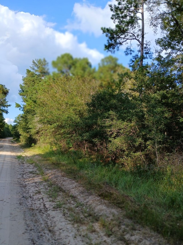 Listing photo 3 for 111 Bill Jones Rd, Groveton TX 75845