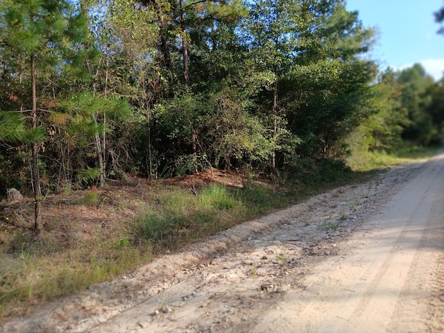 111 Bill Jones Rd, Groveton TX, 75845 land for sale