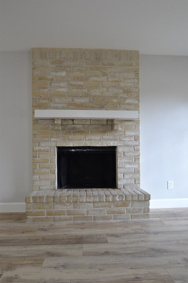 details featuring wood-type flooring and a fireplace