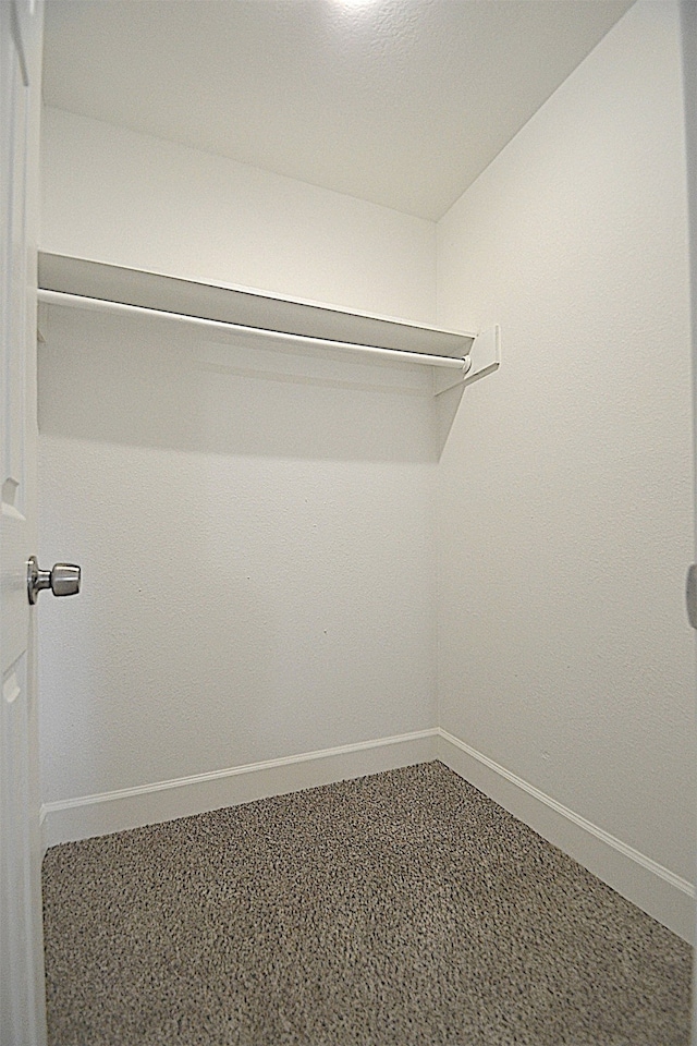 walk in closet featuring carpet