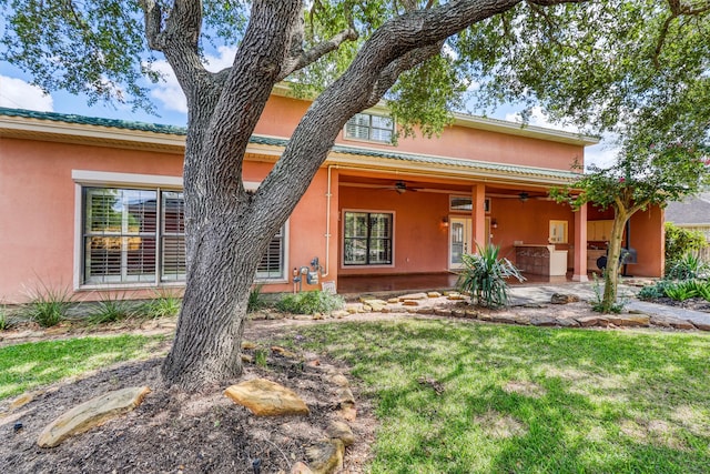 back of house with a patio area, a lawn, and ceiling fan