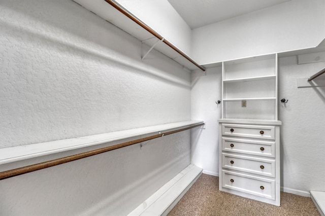 spacious closet with carpet flooring