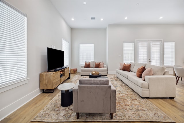 living room featuring light hardwood / wood-style flooring and a wealth of natural light