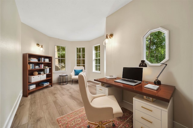 office space with a wealth of natural light and light hardwood / wood-style floors