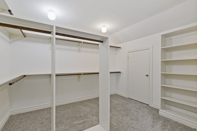 spacious closet with light carpet