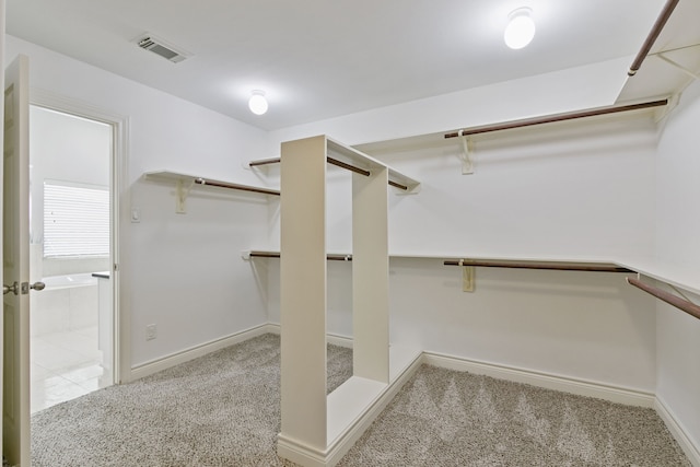 spacious closet with light carpet