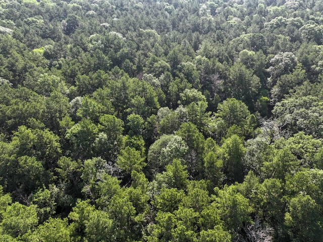 0 Golf Course Rd, Lufkin, TX 75901 - photo 12