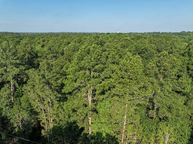 0 Golf Course Rd, Lufkin, TX 75901 - photo 13