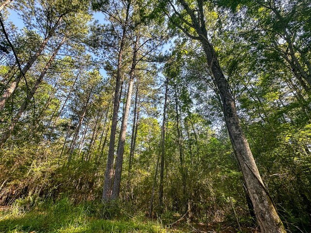 0 Golf Course Rd, Lufkin, TX 75901 - photo 6