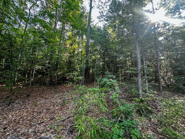 0 Golf Course Rd, Lufkin, TX 75901 - photo 18