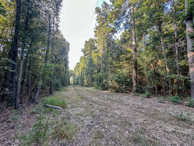 0 Golf Course Rd, Lufkin, TX 75901 - photo 19
