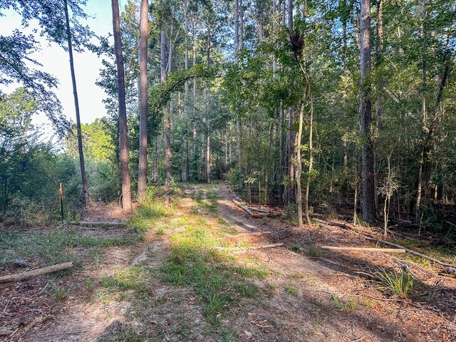 0 Golf Course Rd, Lufkin, TX 75901 - photo 20