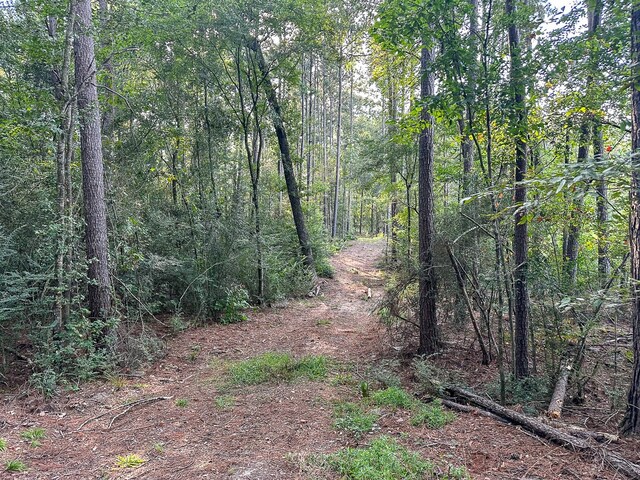 0 Golf Course Rd, Lufkin, TX 75901 - photo 21