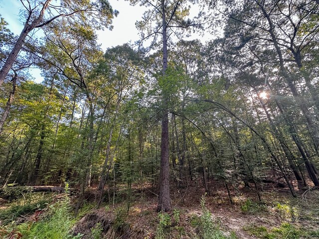 0 Golf Course Rd, Lufkin, TX 75901 - photo 22
