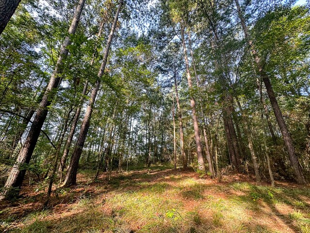 0 Golf Course Rd, Lufkin, TX 75901 - photo 24