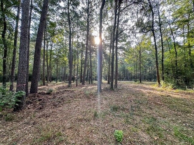 0 Golf Course Rd, Lufkin, TX 75901 - photo 26