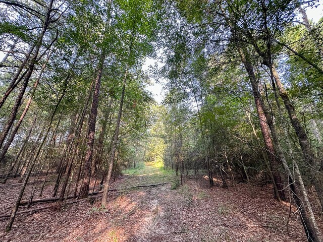 0 Golf Course Rd, Lufkin, TX 75901 - photo 27