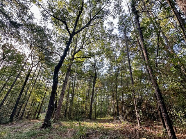 0 Golf Course Rd, Lufkin, TX 75901 - photo 28