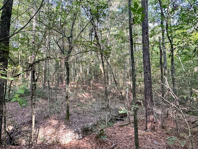 0 Golf Course Rd, Lufkin, TX 75901 - photo 29